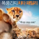 원라이프 이미지
