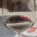 와인 기록 l 그란셀로 지에스티 엑설런스(Gran Sello GST Excellence)🍷