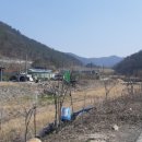 게이트볼장 옆 이미지