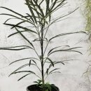 음지농장 이미지