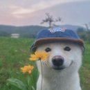 살다보면 | 살다보면