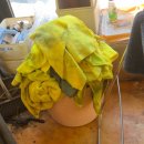 라이프워시디테일손세차 | 명지손세차 더 디테일비 명지점 프리미엄 세차 후기