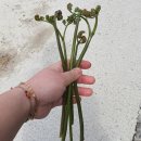 다방2리마을회관 이미지