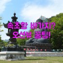 속초아이파크스위트호텔 실외수영장 | 속초항 수산시장 바가지 안 쓰는 법과 속초 아이파크 스위트 호텔 오션뷰 후기