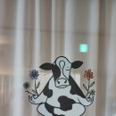 직장인요가 1 | [내돈내][수원 율전동] 요가 처음인 직장인의 '에밀리더카우' 1일 체험 솔직 후기 (ft. 몸이 재조립되는...