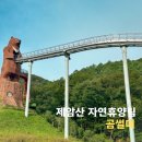 제암산자연휴양림 식당 | 보성 가볼만한곳 제암산 자연휴양림 숙소 곰썰매