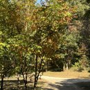 미현농장 | 12월 싫어 연말 싫어