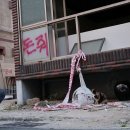 꿈꾸는고양이 이미지