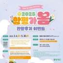 함평나비(무안) 이미지