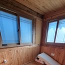 먼나머루 이미지