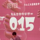 애니렌트카 이미지