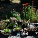 꽃과 한옥 이미지