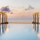 시아리아팜 이미지