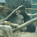 서울대공원 이미지