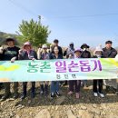 청천면사무소 이미지