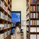 스테이 다다르다 이미지