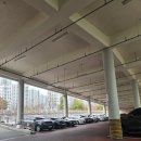 대전시립박물관 | 대전 시립박물관 후기/7세 아이와 교육+놀이 모두 잡은 실내 명소