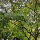 홍성 광천지구대 이미지