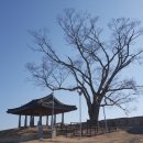 석정행정사 이미지