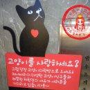 고양이다락방 이미지