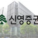 신영 인사이트 이미지