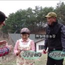 진만농장 네이버블로그
