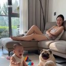 너도 따라하란 말이야 이미지