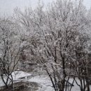 청도군-17 이미지