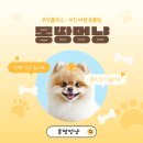 멍냥이노리터 | 천안수제간식은 기본 클래스 무인샵까지 다 되는 곳