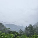 점임농장 이미지