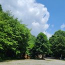 단양남천계곡물가 이미지