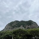 제주 산방산 암벽식물지대 | 제주 산방산, 용머리해안 후기