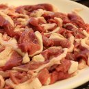 낙동생오리 이미지