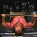 대성휘트니스헬스 이미지