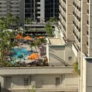 그랜드클럽 | 하와이 호텔 힐튼 그랜드 베케이션스 클럽 칼리아 타워 후기 (ft.불꽃놀이)