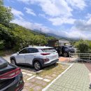 바실라 | [경주] 해바라기 카페 추천 | 바실라 방문 후기🌻