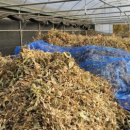 안말농장 이미지