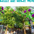 보정동 카페거리 이미지