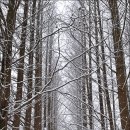 중앙탑길 이미지