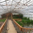 하니농장 이미지