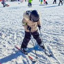 해맑은식당 | 비발디파크 어린이 스키강습 후기