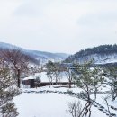 카페춘담 네이버블로그