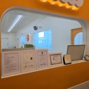 나무애견유치원 | 🐶 [용인 애견유치원] 강아지들의 천국, '놀러오개 용인에버랜드점'