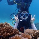 연당약국 이미지