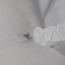 둔산싱싱튼튼의원 이미지