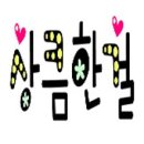 여성의류 이미지