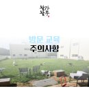 왈가왈부 반려견센터 이미지