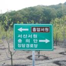 충신의사단비 이미지