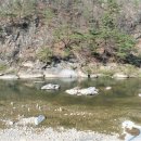 강변공원펜션2 이미지