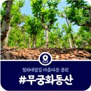 무궁화공원 공중화장실(공원) | [서울 무궁화동산] 휴식하기 좋은 청와대앞길 무궁화동산 공원